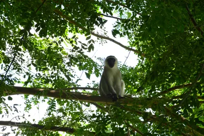 DSC_7895 (Large).JPG